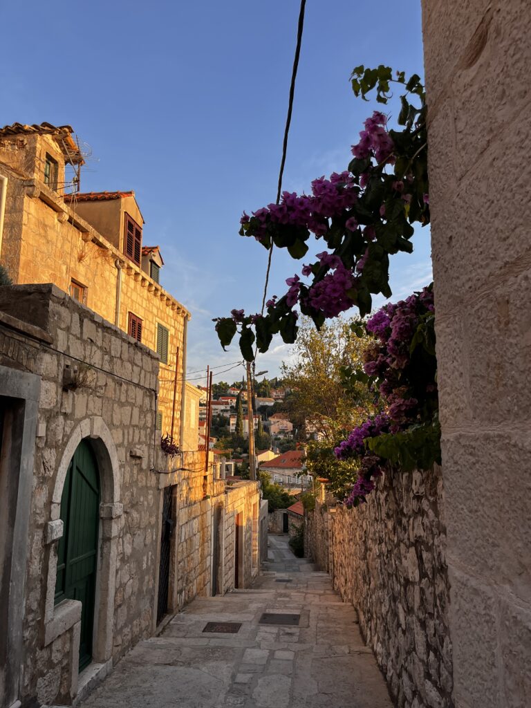 Wakacje pod żaglami